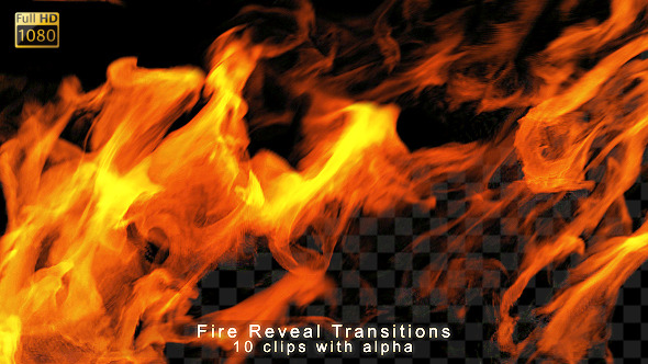 fire reveal after effects download